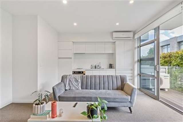 369 Murphys Road Flat Bush_1