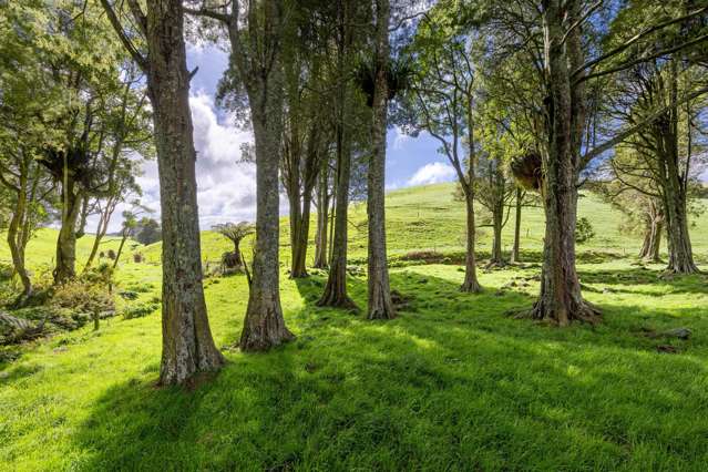 554 Maungatawhiri Road (bare block) Raglan_2