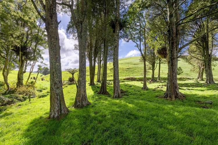 554 Maungatawhiri Road (bare block) Raglan_2