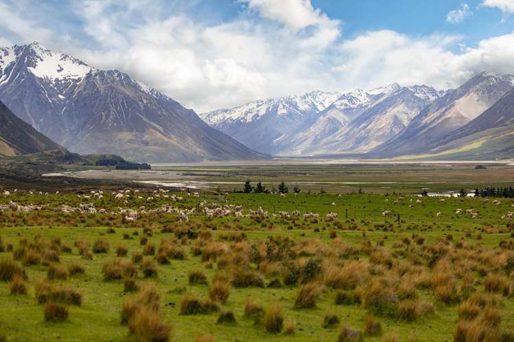 Lake Ohau Station Lake Ohau_6