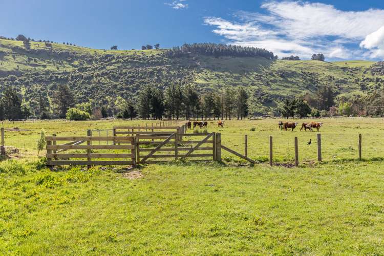 1339 Okains Bay Road Okains Bay_23