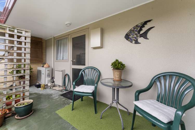 3 Foxtail Fern Kelvin Grove_12
