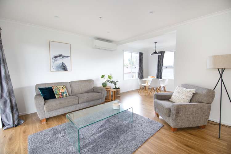 53 Lyttelton Crescent Tamatea_3