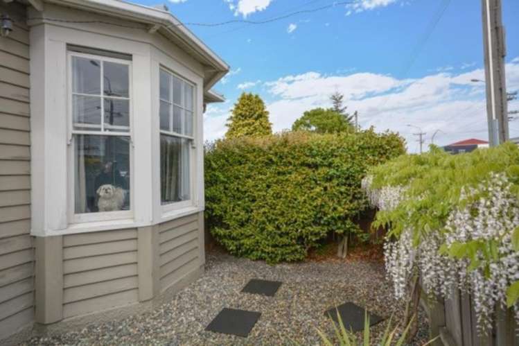 37 Macandrew Road South Dunedin_9