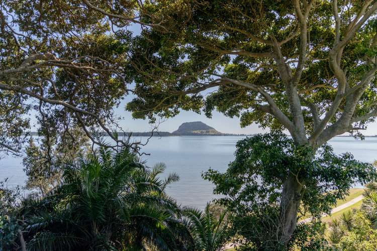 9 Shaw Place Matua_33