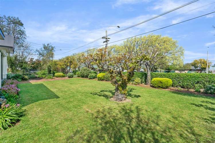 365 Linwood Avenue Bromley_13