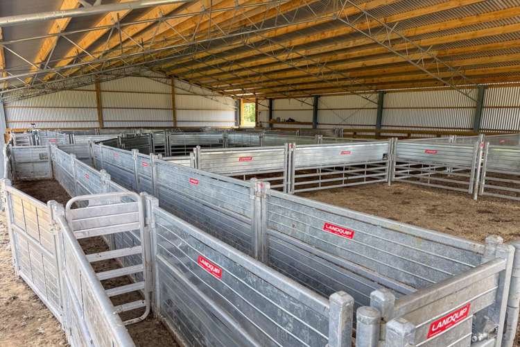 108 McKays Line Cheltenham_7