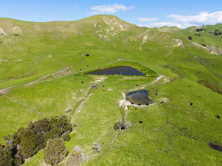 327 and 327a Taurau Valley Road Muriwai_8