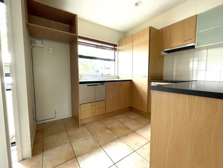 3n Laxon Terrace Remuera_1