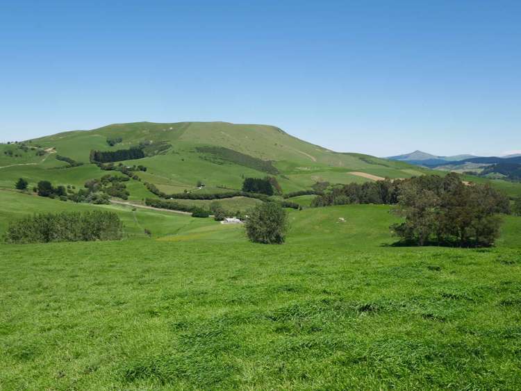 996 Goodwood Road Palmerston_24