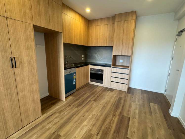 202/48 Clay Works Lane New Lynn_1