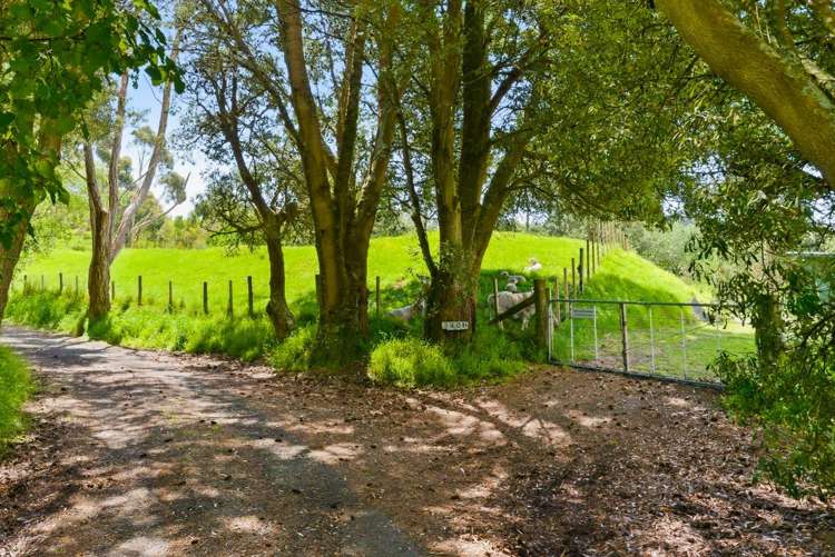 340D Ngarara Road Waikanae_4