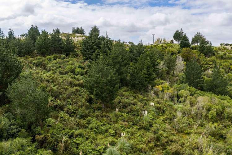 3044 Paparoa-Oakleigh Road, Paparoa Paparoa_17