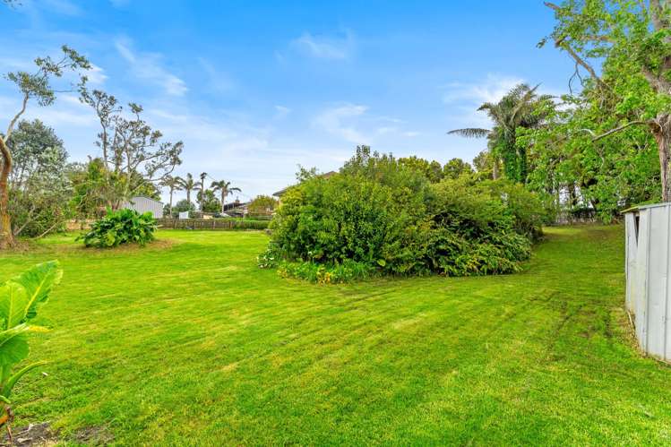 276 Rodney Street Wellsford_17