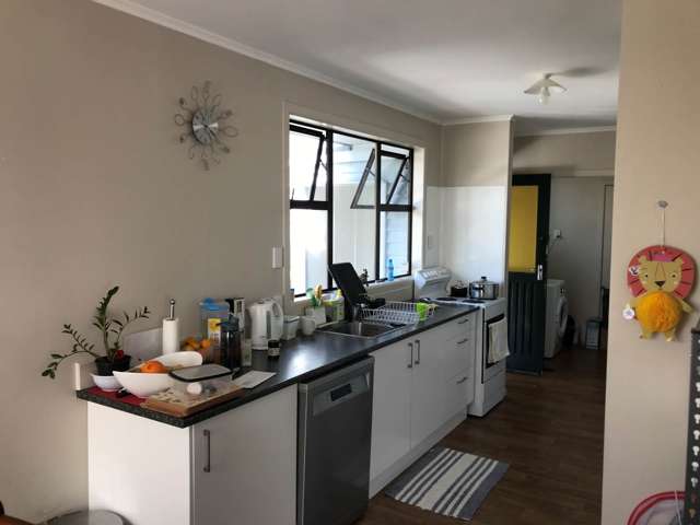 3 Mattson Road Pakuranga_4