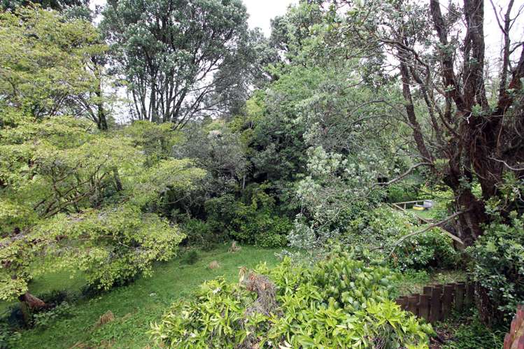 373 Saint Aubyn Street Moturoa_11