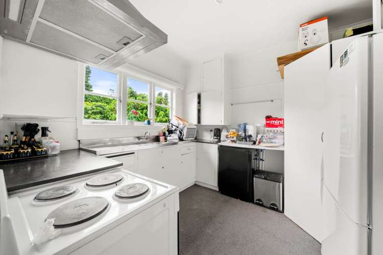 67 Tiverton Road Avondale_5