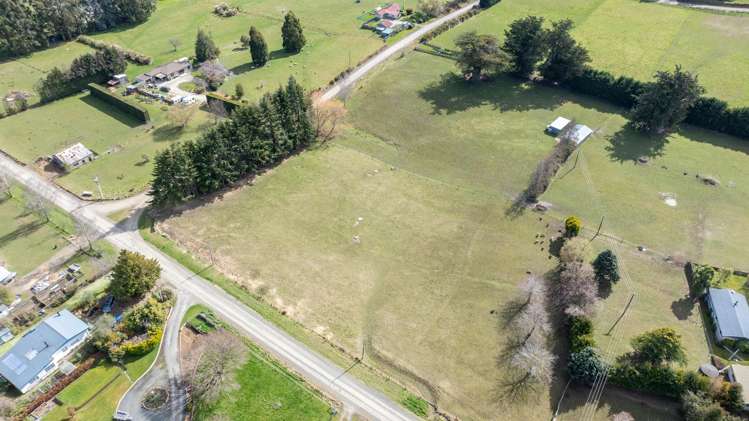 Braudigam Road East Tapanui_15