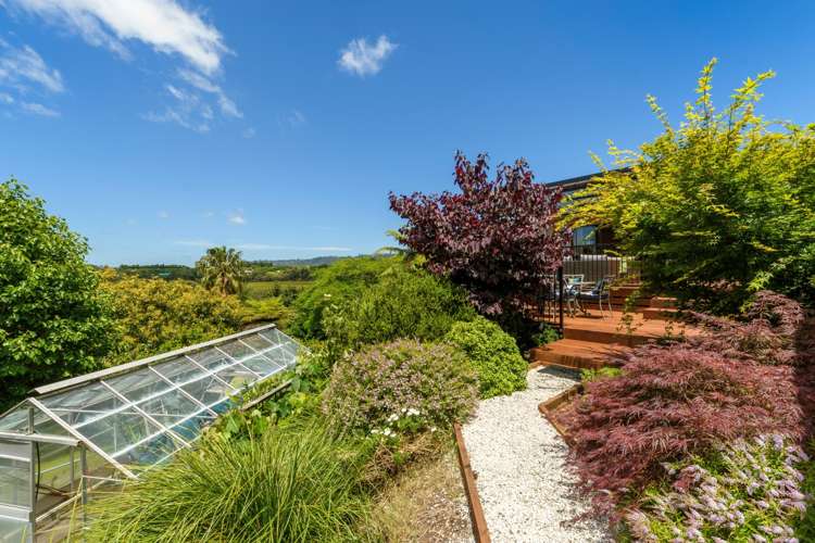 228 Plummers Point Road Whakamarama_21