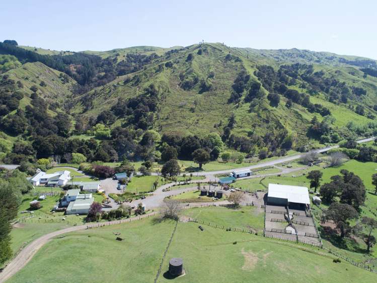 2612 Masterton Castlepoint Road Mangapakeha_10