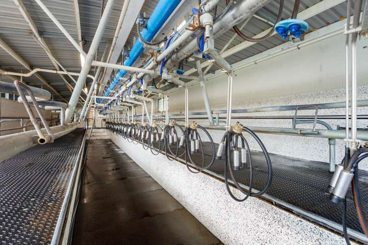 133 Flume Road Te Miro_9