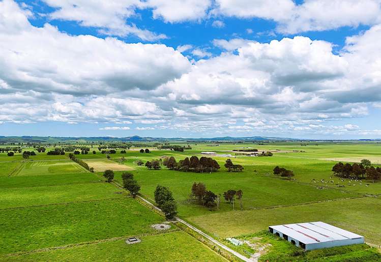 87 Tramline Road Ruawai_14