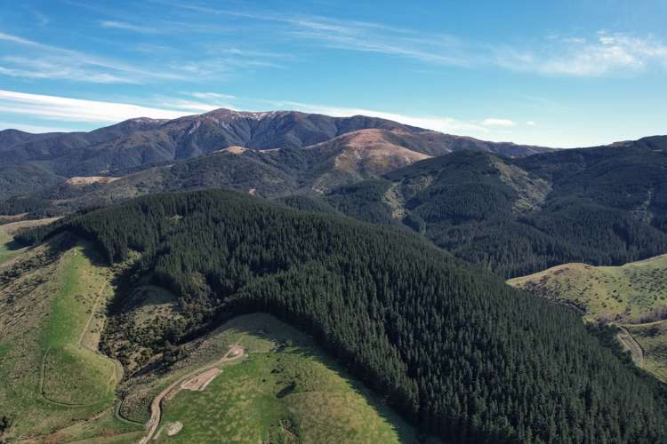 245 Sladdens Bush Road Oxford_10