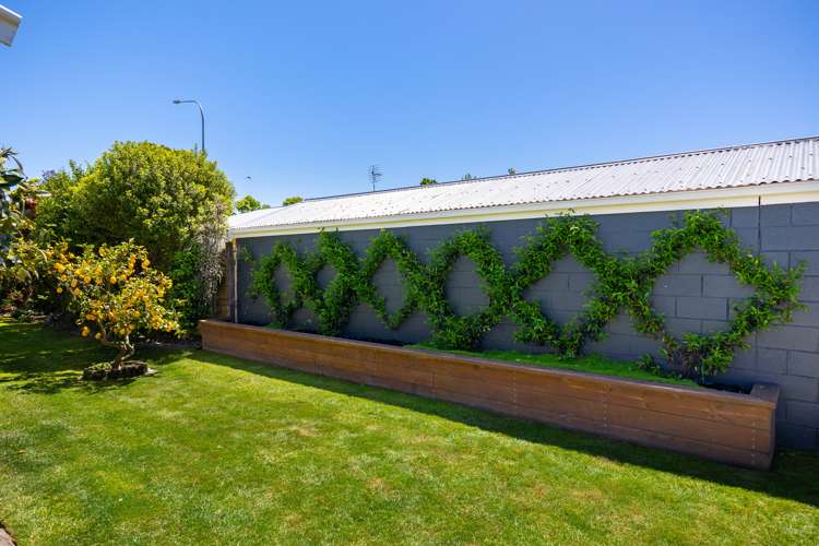 99b Redwood Street Redwoodtown_12