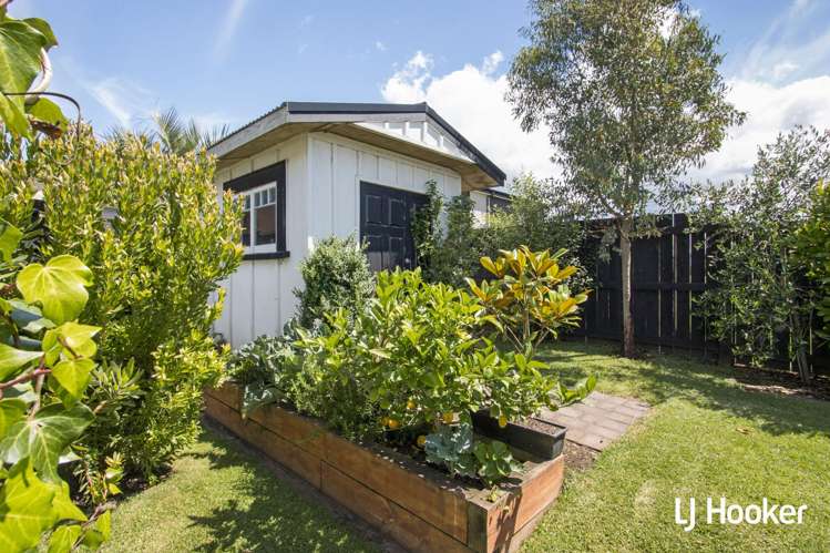 121 Koutunui Road Athenree_36