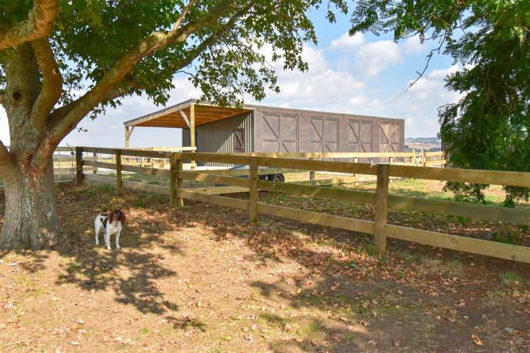 162 Waiti Road Tahuna_12