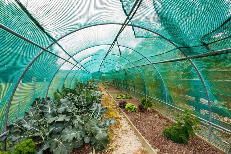 552 Porewa Road Marton_38