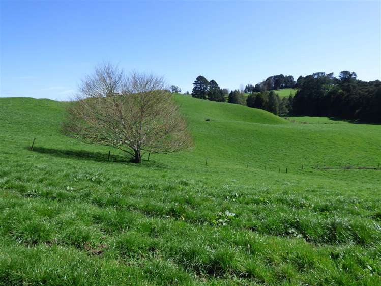 336 Grove Road Te Pahu_12