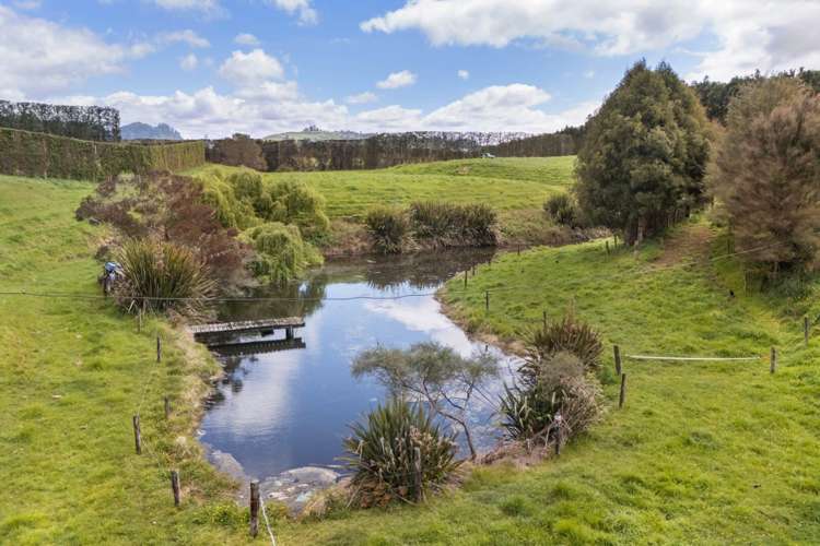 22B Noron Place Katikati_4