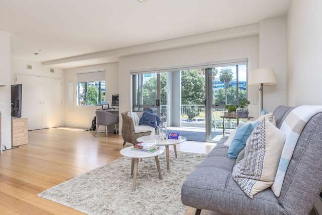 1m/10 Ronayne Street Auckland Central_2