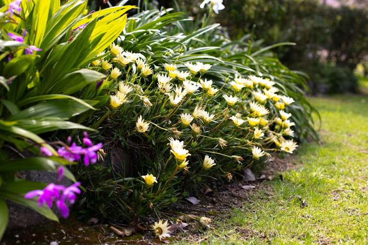 69 Mahinepua Road Kaeo_23