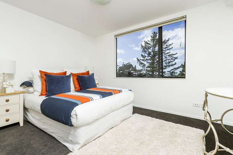 A203/525 East Coast Road Browns Bay_12