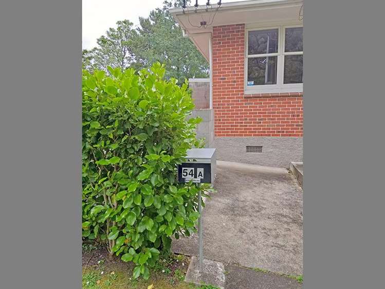 54a Malvern Road Morningside_18