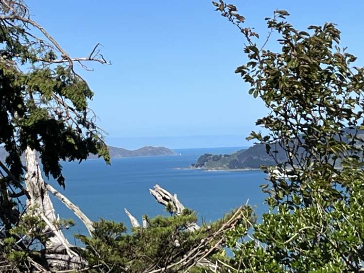 52A Dungarvan Road Newlands_8