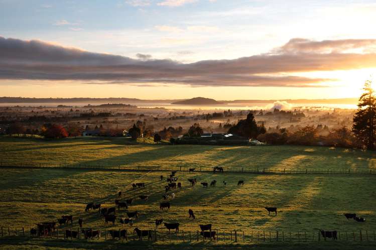 363 Pukehangi Road Sunnybrook_6