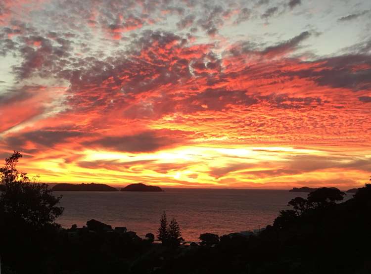 52 Woods Road South_4