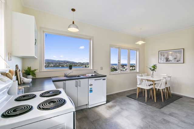 79 Rakau Road Hataitai_3