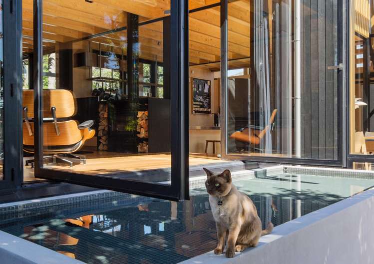 22 Ewen Street Takapuna_19