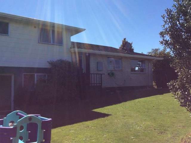 37 Ransom Street Dannevirke_3