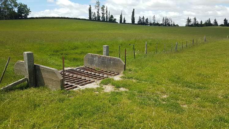 259 Kaihiku Church Road Clinton and Surrounds_13