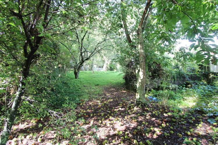 47 Kauri Street Tokoroa_2