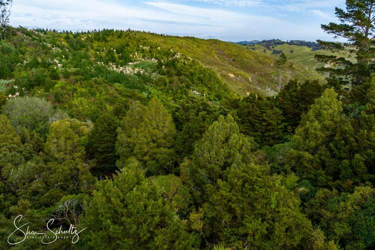 800 Bickerstaffe Road Maungaturoto_31