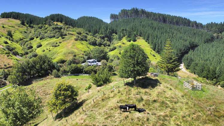 1377E Manawahe Road Manawahe_6