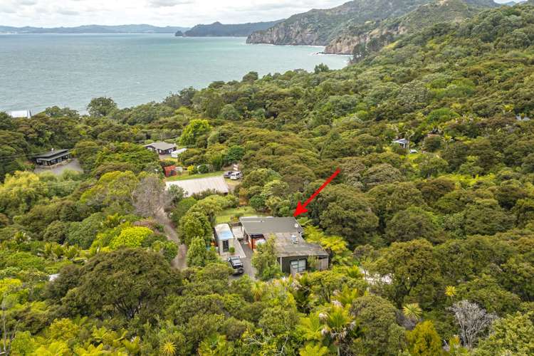 435B Tuateawa Road Coromandel_17