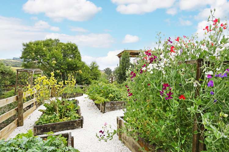 22 Munros Road Clevedon_13