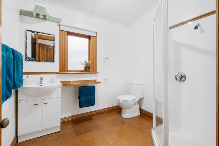 12 Weka Street The Wood_17